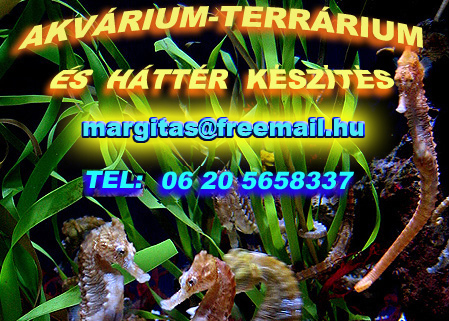 akvarium-terrarium